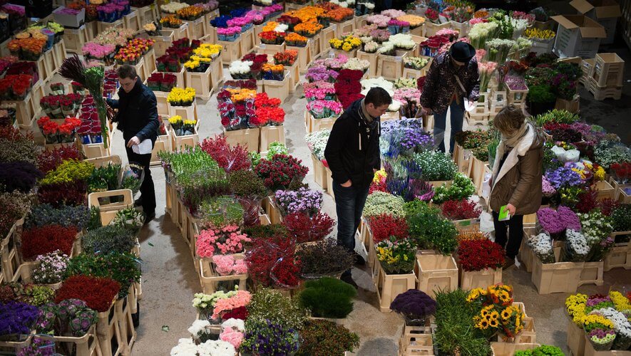Nous rejoindre - Ecole des Fleuristes de Paris